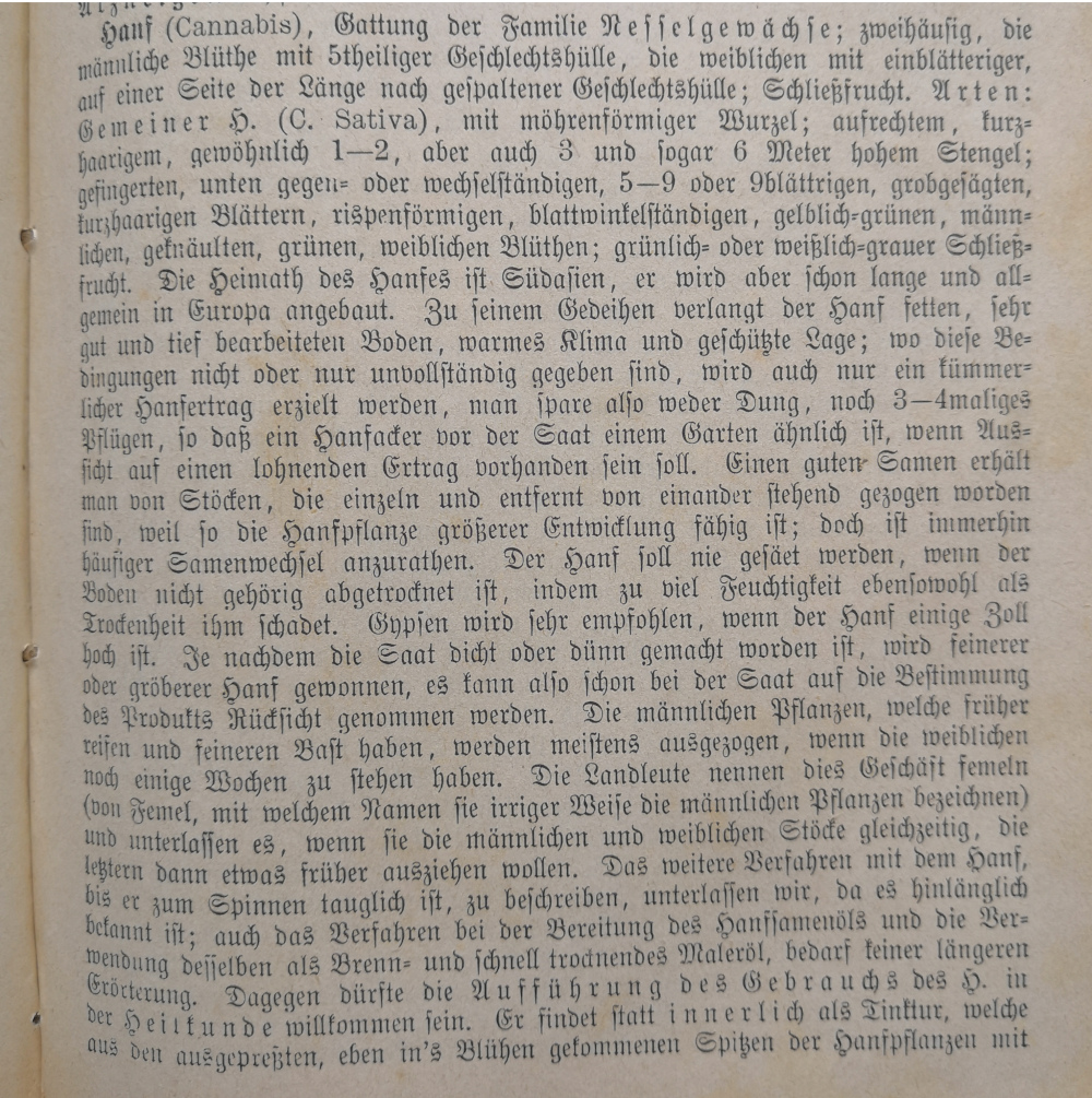 Text zu Hanf in Kräuterbuch 1886